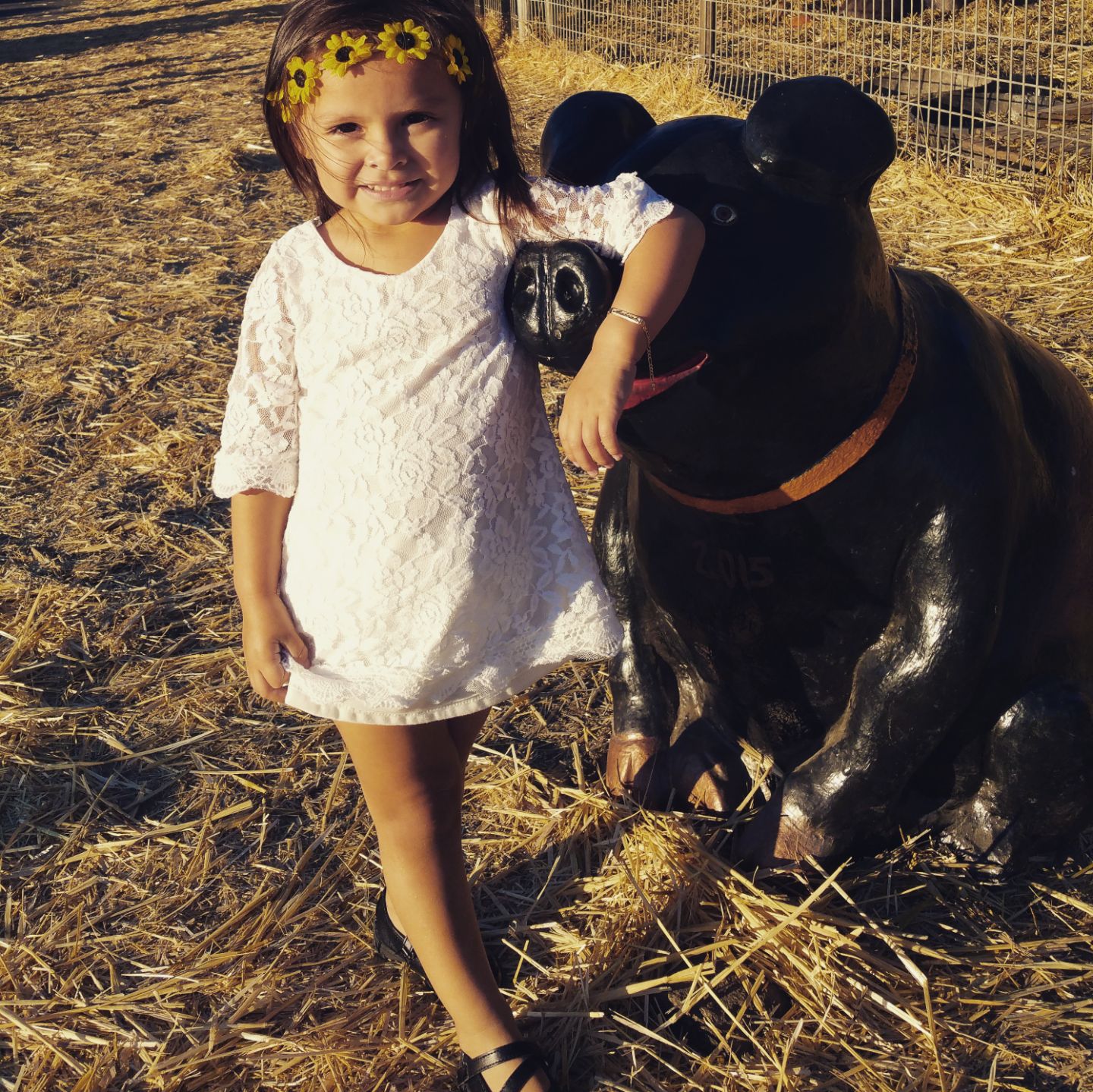 Picking Pumpkins 2015